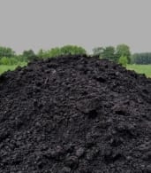 чернозём почва